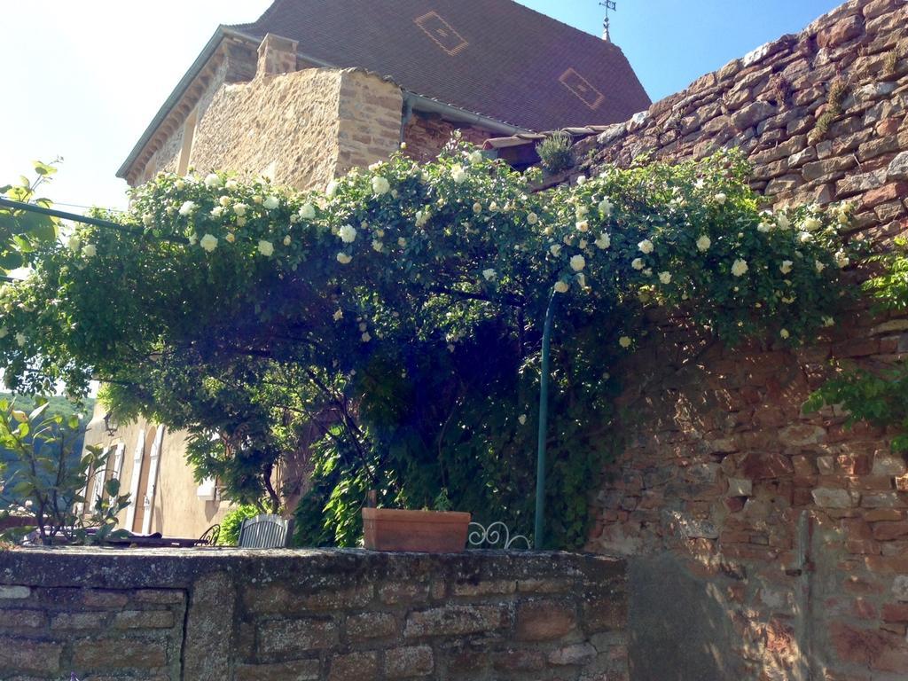 مبيت وإفطار Leynes Le Vieux Chateau المظهر الخارجي الصورة